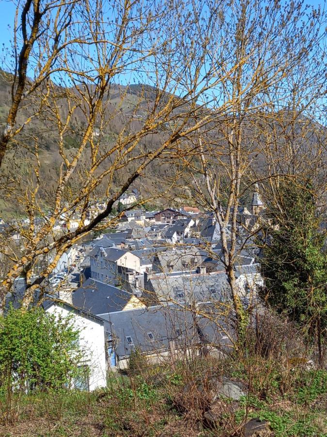 Appartement 2 A 4 Personnes Le Pyreneen A Arreau Carrefour Des Activites De Montagne Экстерьер фото